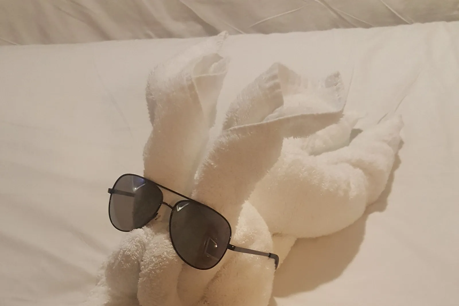 A towel animal wearing sunglasses, left on the bed by the stateroom attendant on Oasis of the Seas